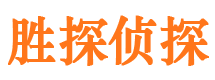 卢氏市调查公司